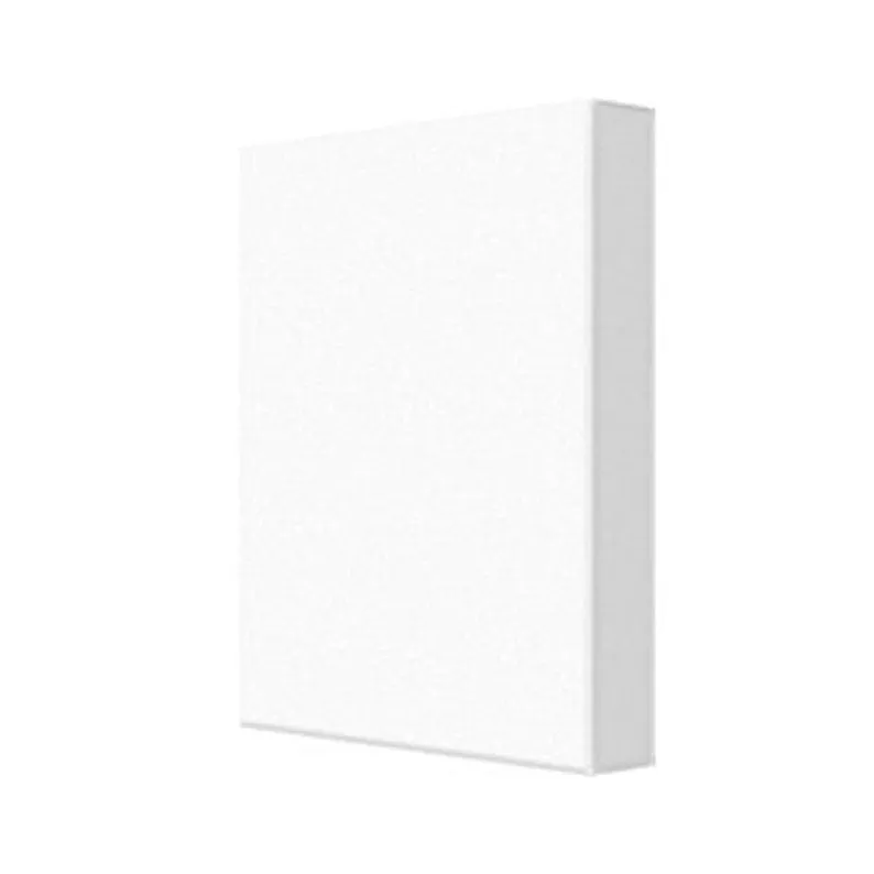 Abstract Contemporary Canvas Wall Art Lion Black & White // ZOO-LI03
