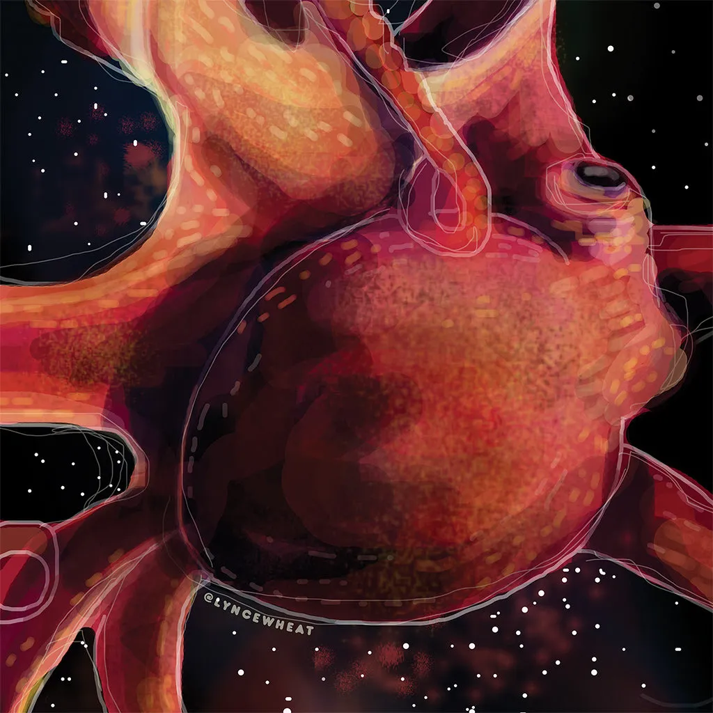 Octopus Odyssey by Lyn Sweet